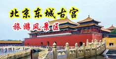 天天操美女逼逼逼逼中国北京-东城古宫旅游风景区